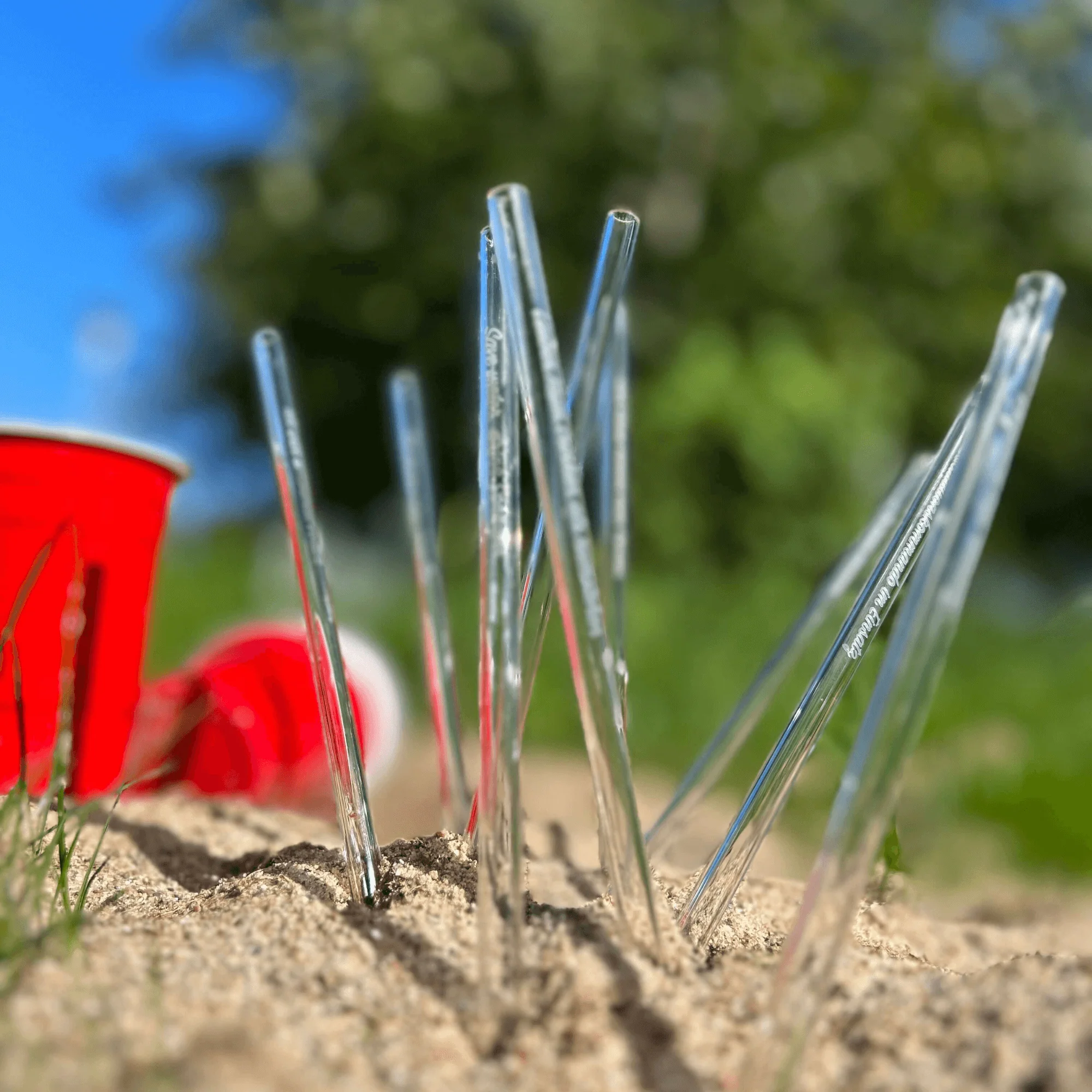 10x Glasstrohhalme mit verschiedenen Trinksprüchen - Image 4